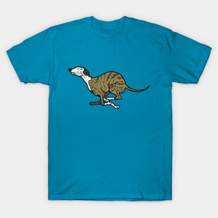 Whippet illustration T-Shirt